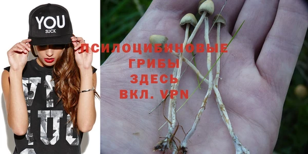крисы Балабаново